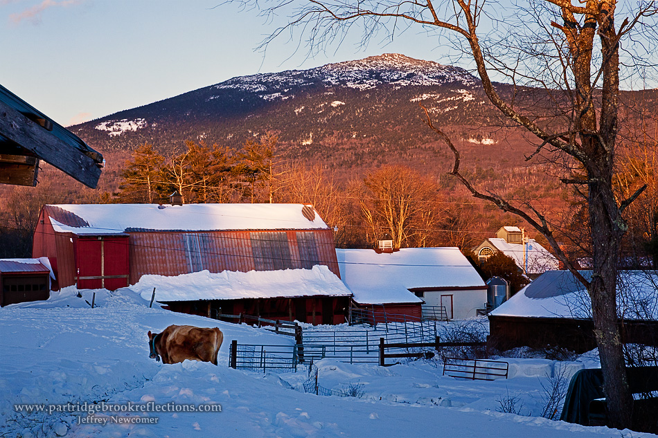 Getting it Right in the Digital Camera Monadnock's Most Beautiful